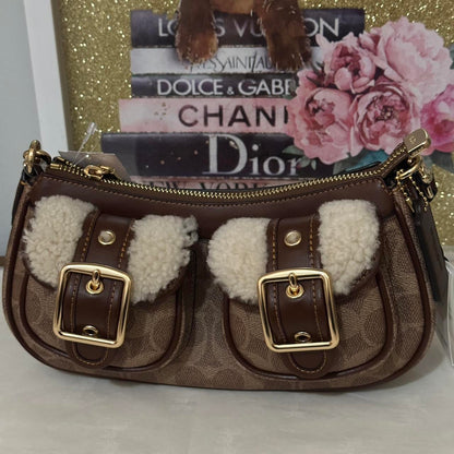 Ashton Bag In Signature Canvas